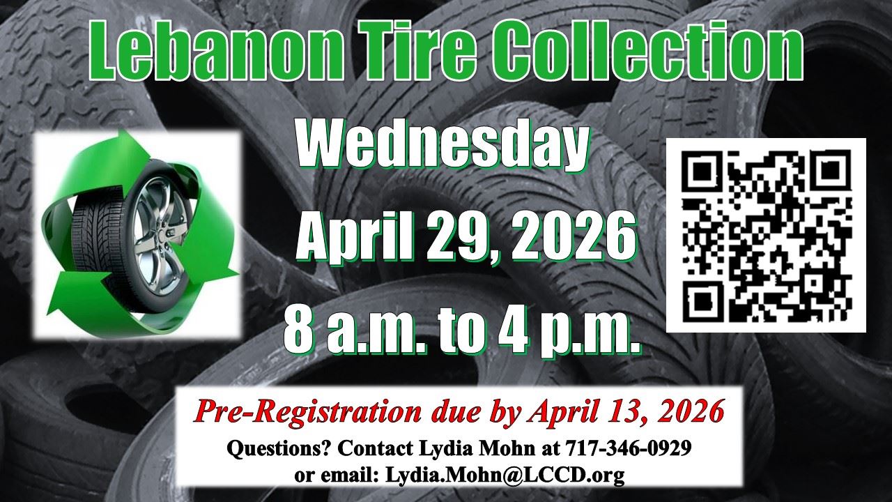 2026 Website - Tire Collection